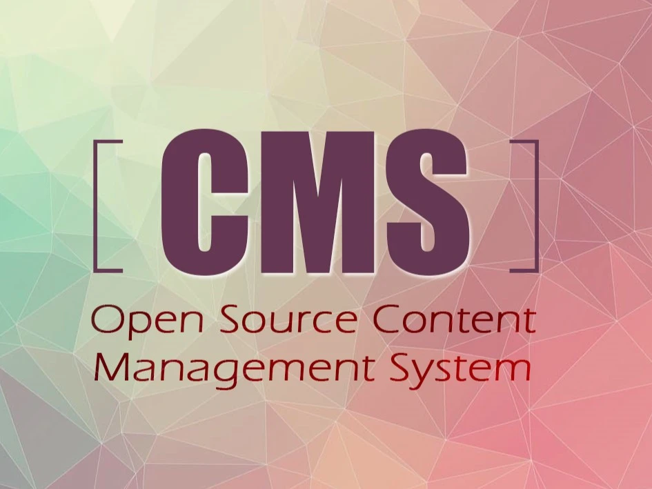 Dynamic CMS Website